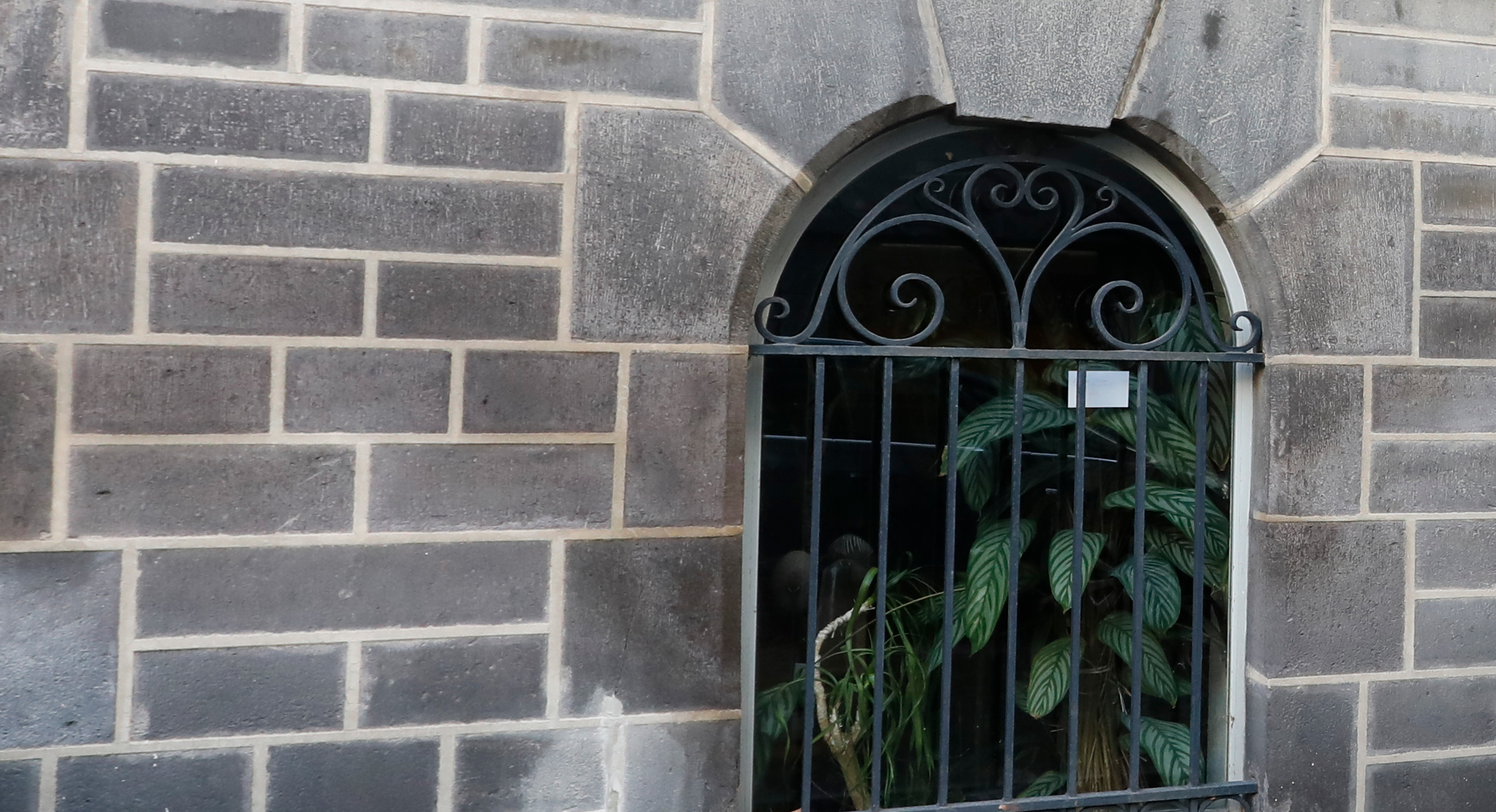 Docteur Françoise Péchadre - Lepeytre, gynécologue au 57 rue Blatin à  Clermont-Ferrand